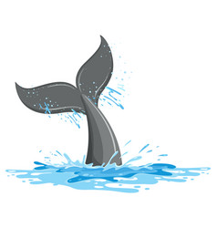 A Tail Of Whale In The Water