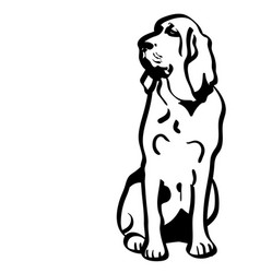 Bloodhound Dog Eps