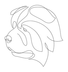 Continuous Line Chow Single Minimal