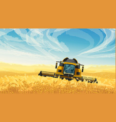 Harvester On Golden Wheat Field Blue Sky