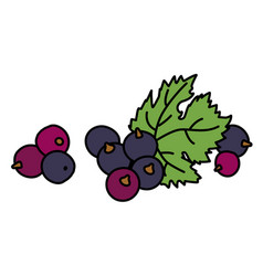 Blackcurrant Berries And Leaf Doodle Cartoon Style