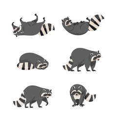 Set Of Cute Gray Raccoons In Everyday Activities