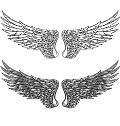 Wings collection Royalty Free Vector Image - VectorStock