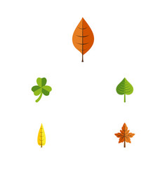 Flat Icon Leaf Set Of Hickory Foliage Alder