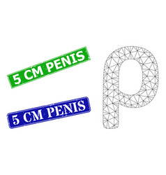 Scratched 5 Cm Penis Seals And Triangle Mesh Rho