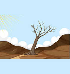 Desert Drought Landscape With Death Tree