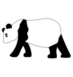 Panda Black White Chinese Animal Asian Bear