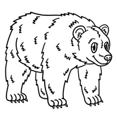 Bear Animal Isolated Coloring Page For Kids