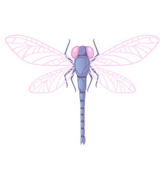 Purple Dragonfly With Big Yellow Eyes Flat