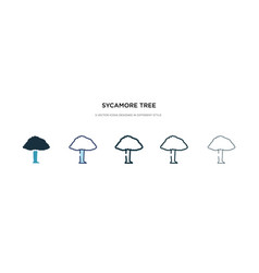 Sycamore Tree Icon In Different Style Two