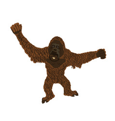 Monkey Orangutan Isolated