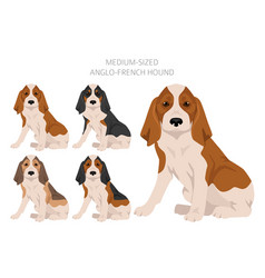 Medium Sized Anglo-french Hound Puppy Clipart