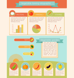 Vegetables Infographic Set