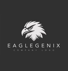 Eagle Logo Template Hawk Head Isolated Template