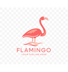 Flamingo Bird Animal Avian Graphic Design