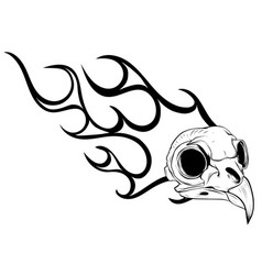 Bird Skull Engraving