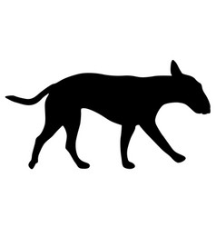 Bull Terrier Dog Black Silhouette On White