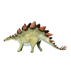 Herbivore Dinosaur Stegosaurus In Red And Green