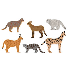 Cartoon zoo animals big set wildlife mammal flat Vector Image