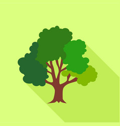 Big Fluffy Tree Icon Flat Style