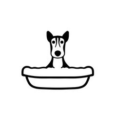 Dog Bath Icon