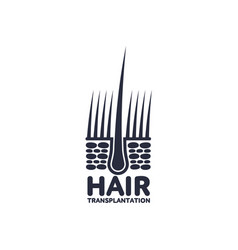 Hair Follicle Vector Images Over 1 100