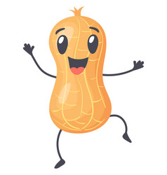 Happy Peanut Character Cartoon Smiling Nut