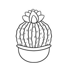 Hand Drawn Round Flowering Cactus In Pot