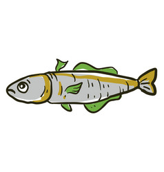 Sad Hake Fish On White Background