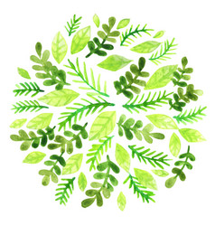 Pine Leaves Fern And Green Leaves Watercolor