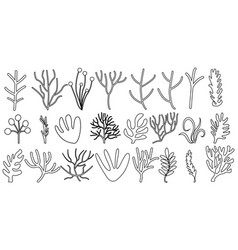 Set Corals Seaweed Silhouette Marine Plant Element