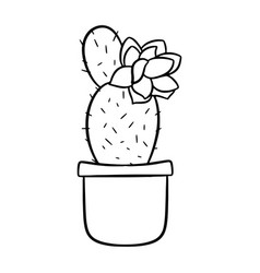 Hand Drawn Flowering Cactus In Pot