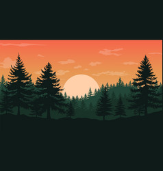 Pine Forest Silhouette Sunset Background