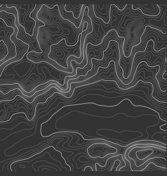 Topographic map background with space for copy Vector Image