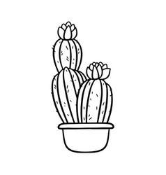 Hand Drawn Flowering Cactus In Pot