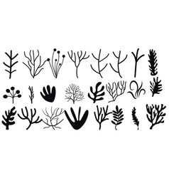 Set Corals Seaweed Silhouette Marine Plant Element