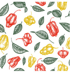 Hand Drawn Sketch Style Scotch Bonnet Pepper