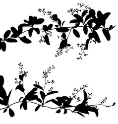 Silhouettes Of Leaf And Vine Plant