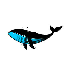 Blue Whale