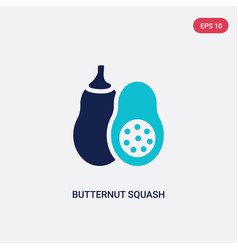 Two Color Butternut Squash Icon From Gastronomy