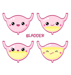 Set Of Human Bladder In Kawaii Style With Smiling