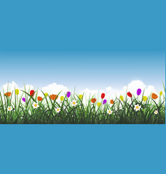 Blooming Meadow With Green Grass And Flowers