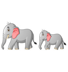 Cute Mother And Child Elephant Cartoon