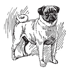 Pug Line Vector Images Over 560
