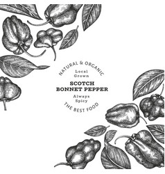 Hand Drawn Sketch Style Scotch Bonnet Pepper