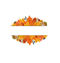 Autumn Leaves Background