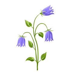 Blooming Bluebell Colored Isolated Doodle Sketch