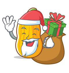 Santa With Gift Butternut Squash Mascot Cartoon