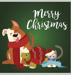 Merry Christmas Cute Dog Turtle And Cat