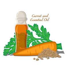 Carrot Seed Essential Oil